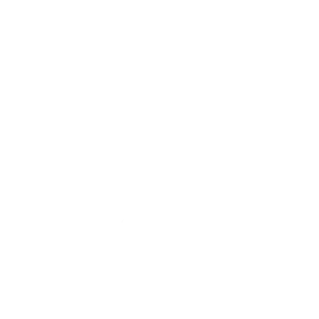 Apixit